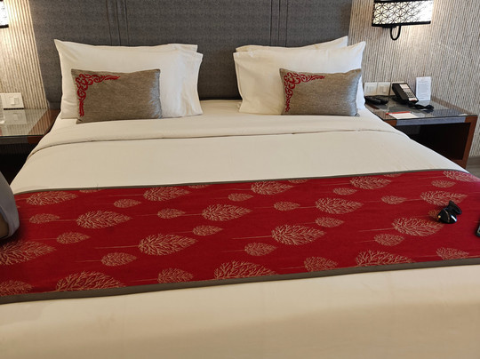 Ramada Plaza By Wyndham Lucknow主图