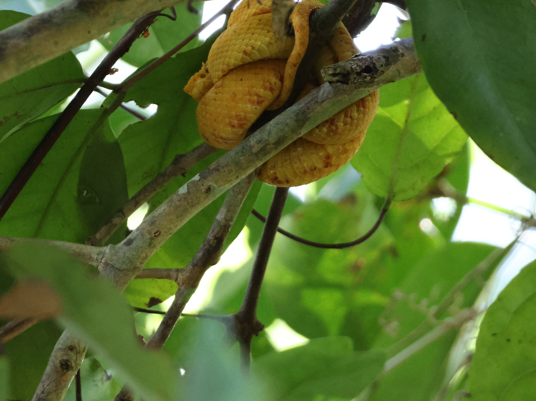 Manuel Tour Guide-卡维塔必去景点