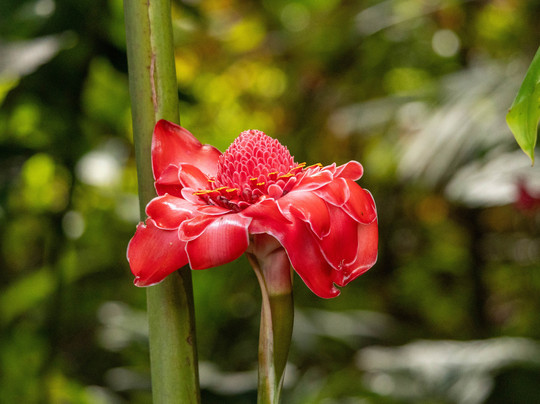Hawaii Photo Retreat Day Tours-火山必去景点