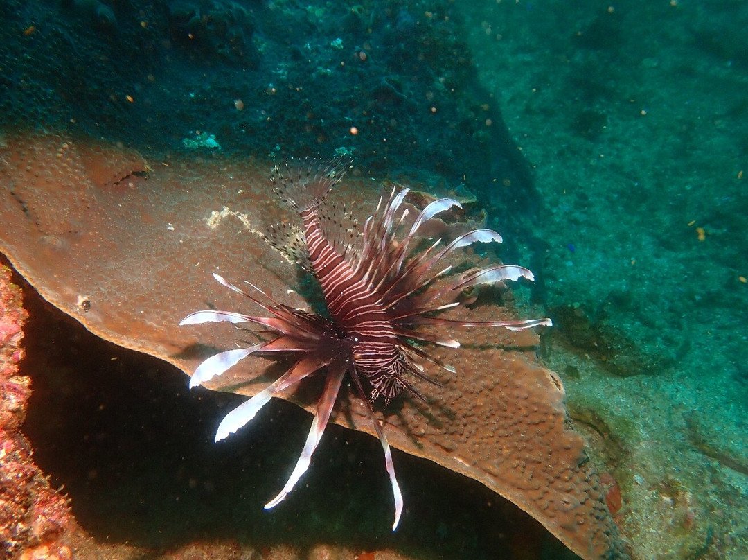 Scuba World-穆鲁拉巴必去景点