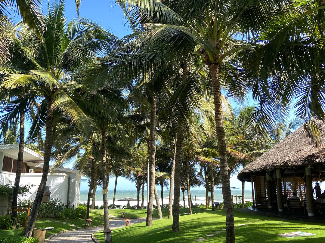 Sonata Resort & Spa主图