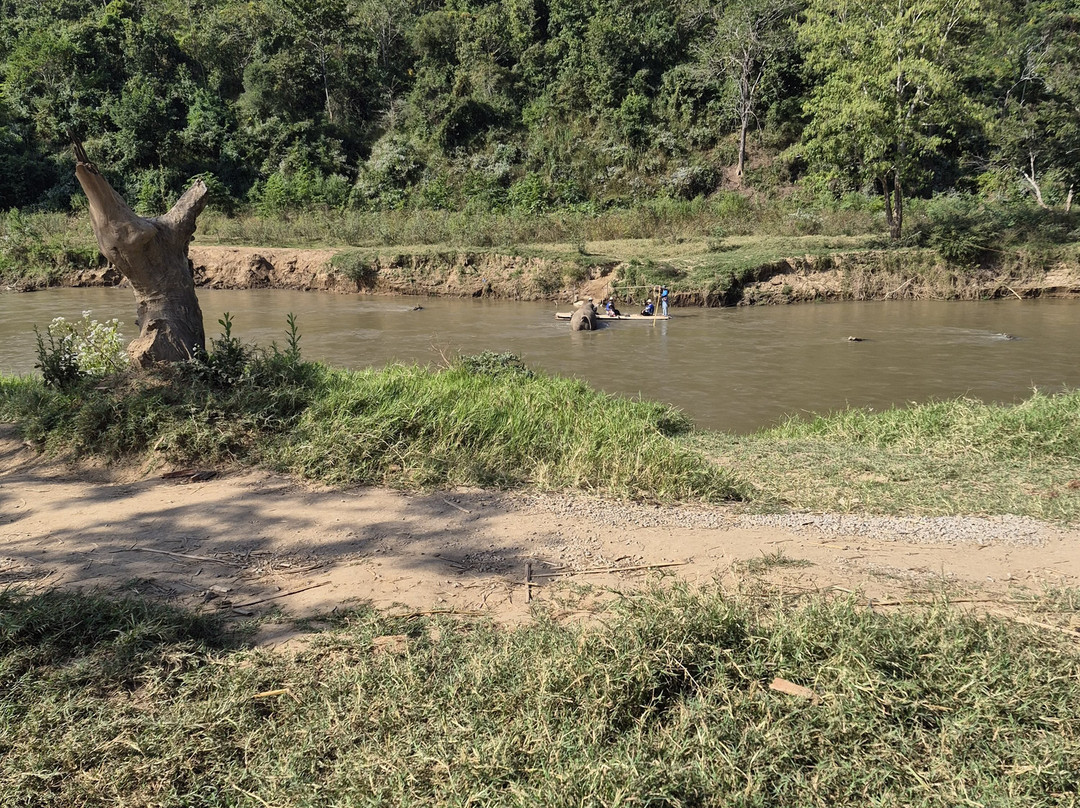 New Elephant Home-Kuet Chang必去景点