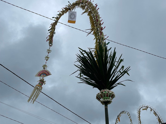 Budi Bali Driver-乌布必去景点