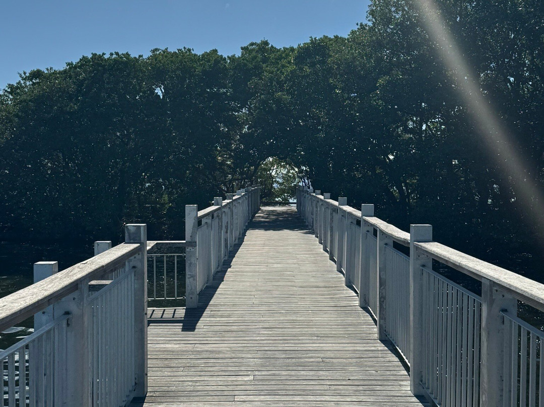 Biscayne National Park-霍姆斯特德必去景点