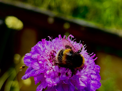 The Road Trip-奥克兰中心地区必去景点