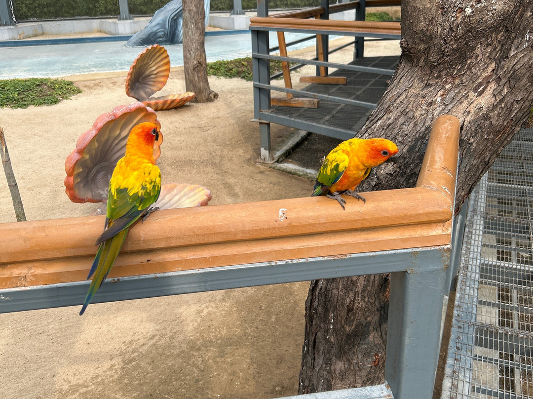 Trichy Birds Park-Tiruchirappalli District必去景点