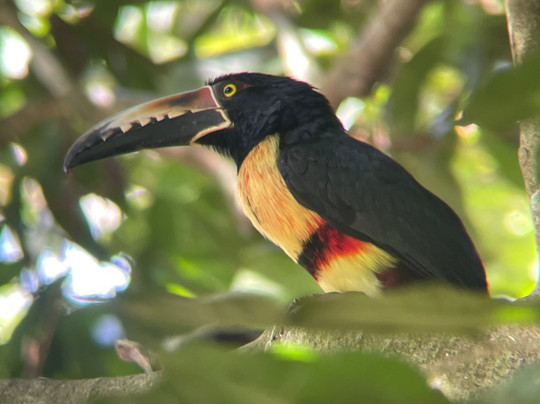 Royal Service Tours-利比里亚必去景点