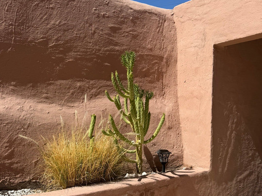 Hotel Pascual Andino主图