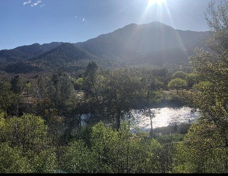 Whispering Pines Lodge主图