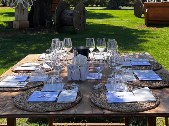 Monsignore | Degustazioni Olio & Vino