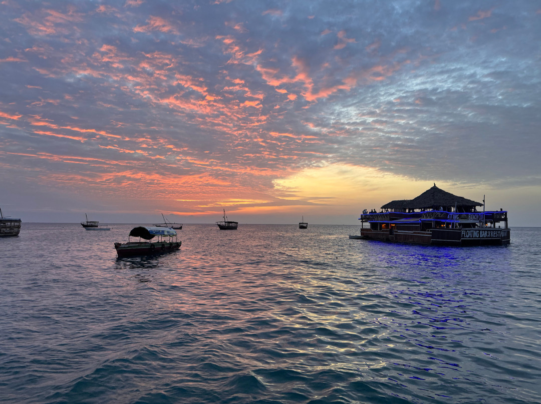 Zanzibar Submarine Tours-桑给巴尔市必去景点