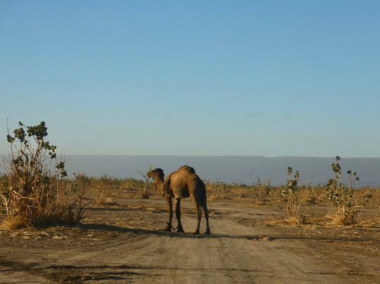 Ultimate Morocco Tours-迈哈米德必去景点