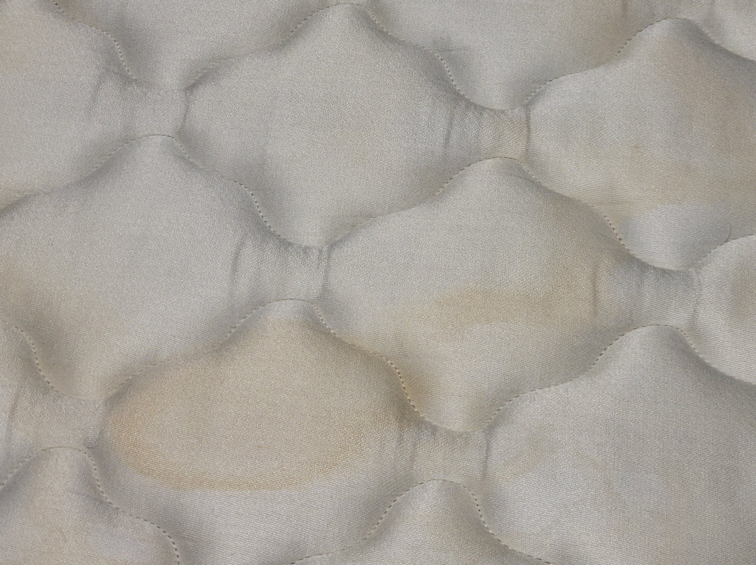 Travelodge Swansea Central主图