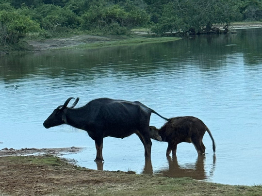 AVG Travels-墨尔本必去景点