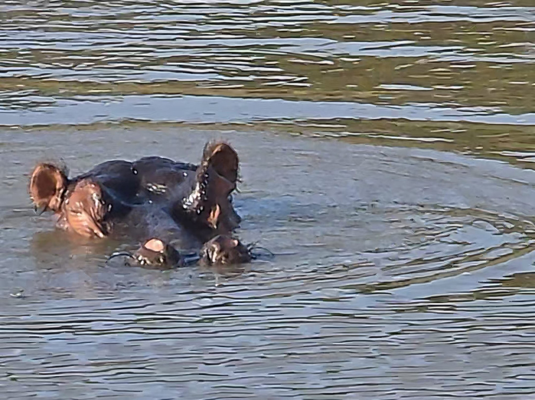 Schotia Safaris Private Game Reserve主图