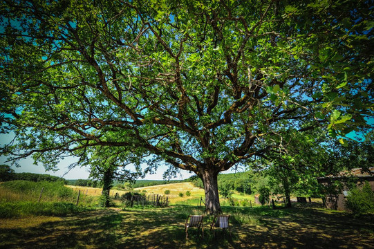 Domaine de Bel Air pour Gourmet Voyageur主图