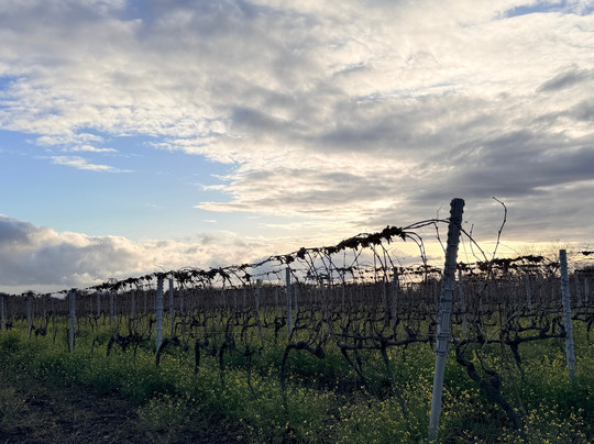 Tenuta Papale-Belpasso必去景点