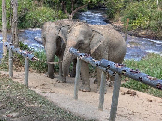 Chang Chill-Mae Win必去景点