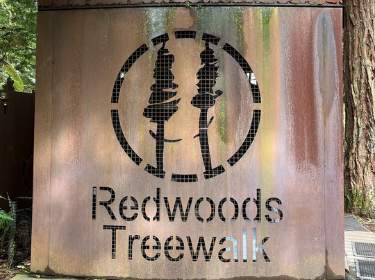 Scott Tours-陶兰加必去景点