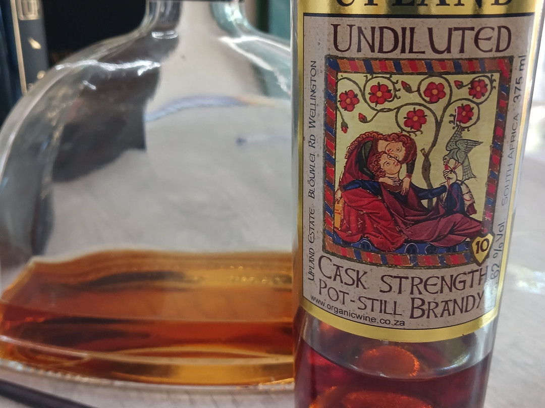 Upland Organic Wine-惠灵顿必去景点