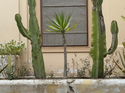 Munarikuy Voyages-伊卡必去景点