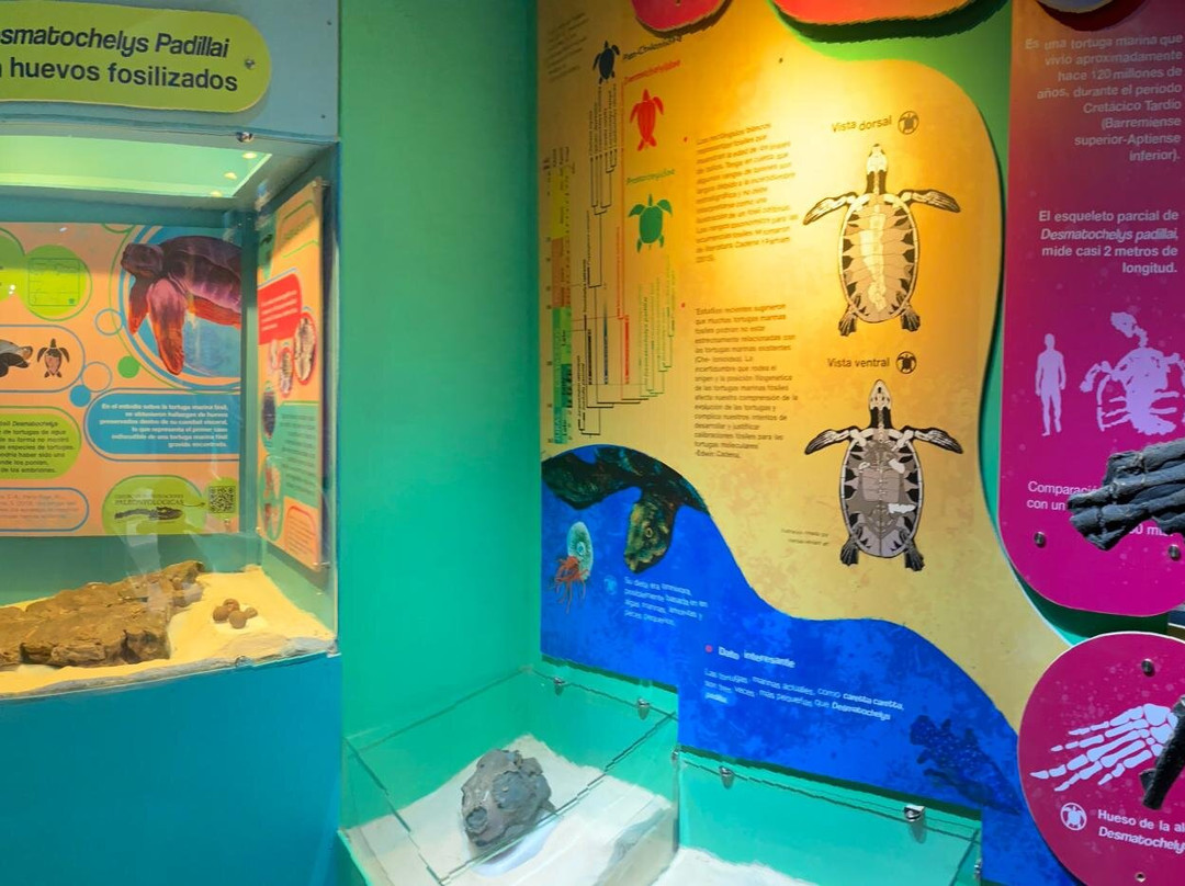 Centro de Investigaciones Paleontologicas - CIP-莱瓦镇必去景点