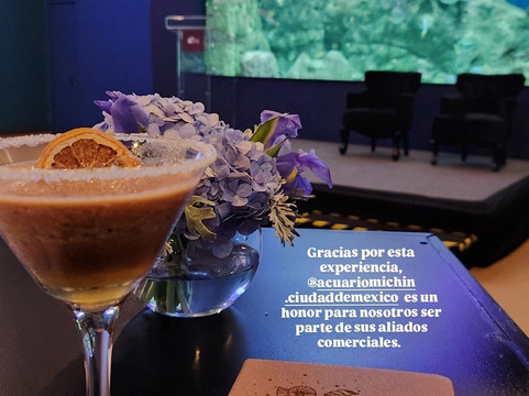 Acuario Michin Ciudad De Mexico-墨西哥城必去景点