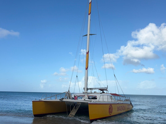 Wadadli Cats-安提瓜必去景点