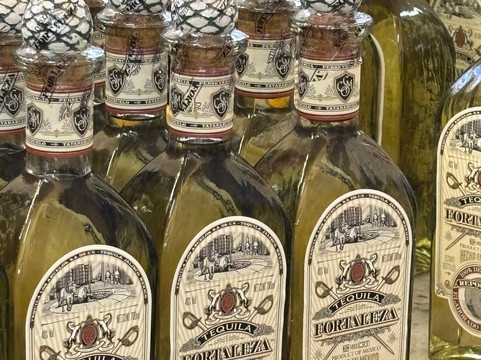 Tequila Fortaleza-特基拉必去景点