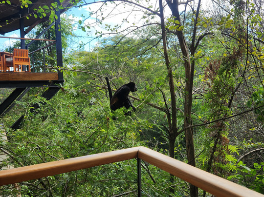 Rio Perdido-巴加塞斯區必去景点