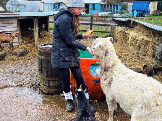 Middle England Farm Alpacas-Henley in Arden必去景点