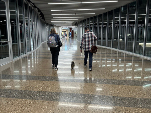 Mesa Gateway Airport-梅萨必去景点