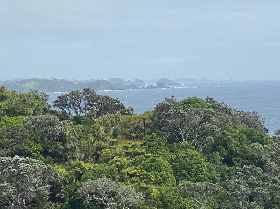 Whale Bay-Matapouri必去景点