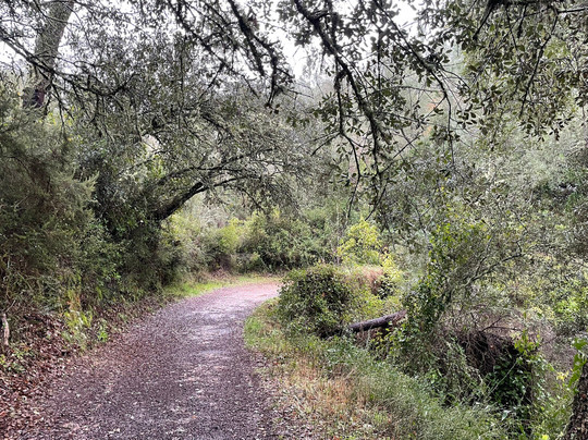 Posada del Castaño主图