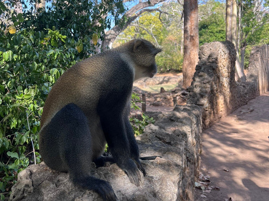 Discovery Kenya con Fragola-瓦塔木必去景点