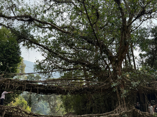 A Lifetime Trip-新德里必去景点