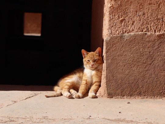 Travel with Aziz-Lalla Takerkoust必去景点