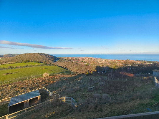 Welsh Mountain Zoo-科尔温湾必去景点
