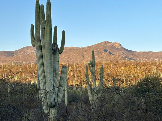 Bio Fan-Tehuacan必去景点