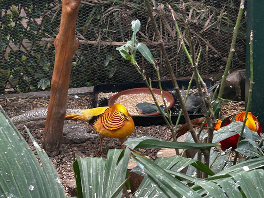 Potter's World-Lanchester必去景点