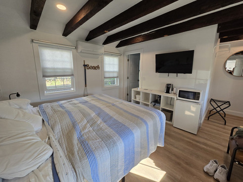 翠鸟哈维奇港主图