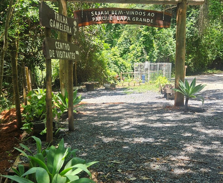 Parque Estadual da Lapa Grande-Montes Claros必去景点