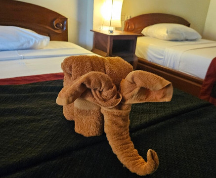 陆地洛格斯洛奇酒店主图