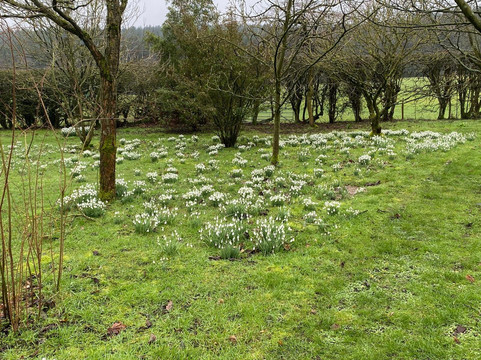 Felley Priory Gardens-Underwood必去景点