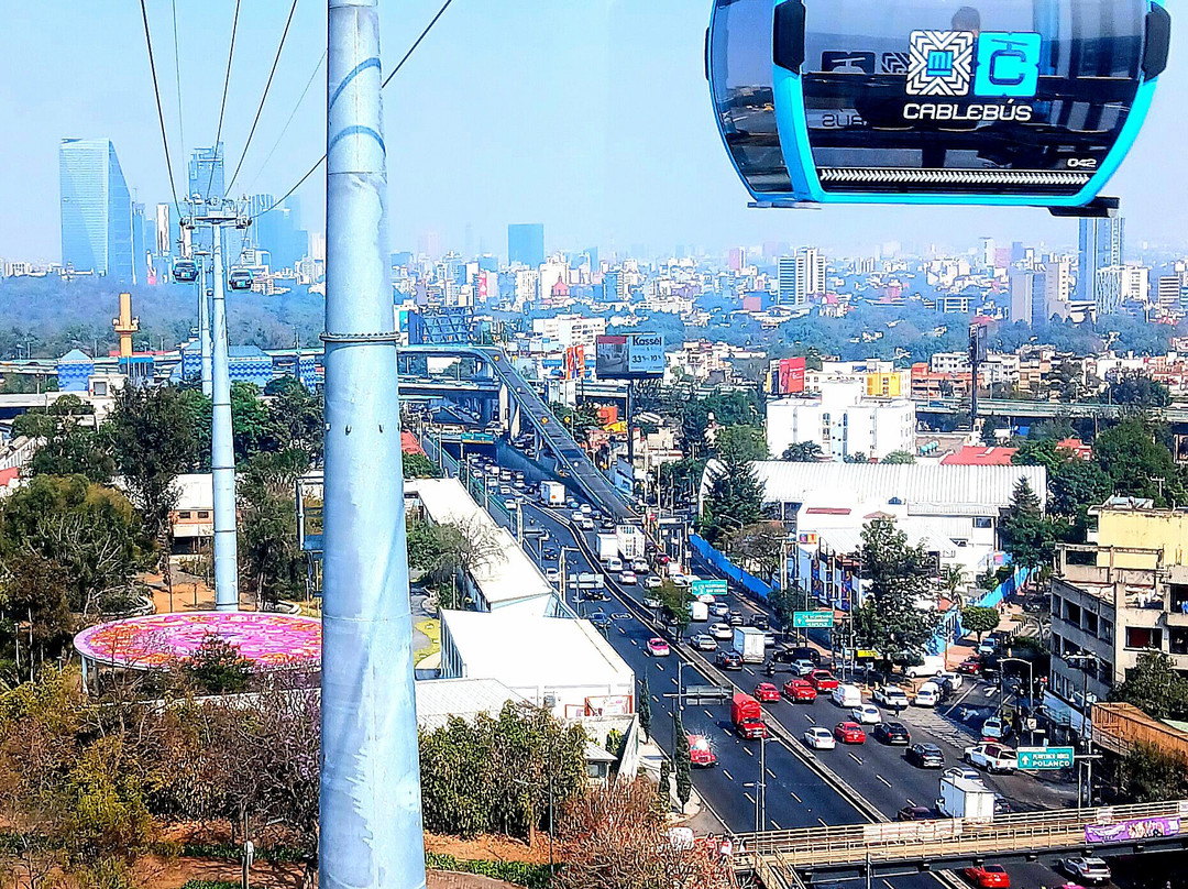 Kactus-墨西哥城必去景点