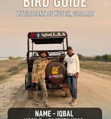 Shree Swaminarayan Temple Bhuj-普杰必去景点