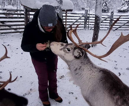 Wild Nordic Levi-Levi必去景点