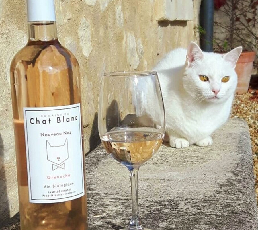 Domaine Du Chat Blanc-Saint-Didier必去景点