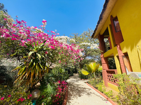 Hôtel Les Bougainvillées主图