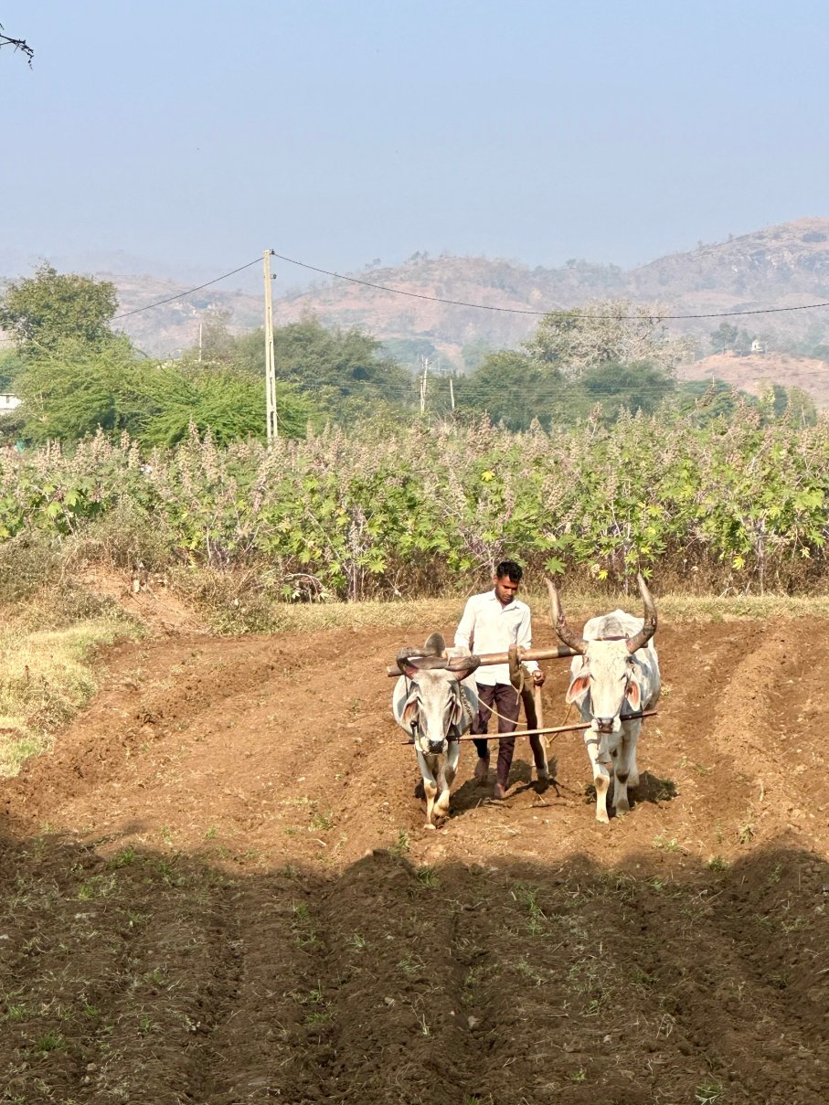 Darbargadh Poshina-官方